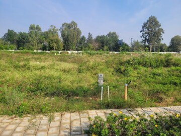 Plot Area in  Plot at Adarsh Savana, Devanahalli – for Sale