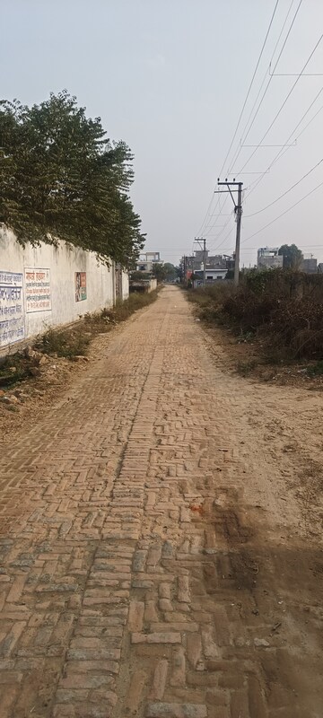 Plot For Resale in Mubarakpur Lucknow  8135863