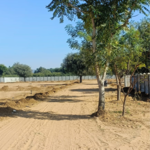 600 Sq.Yd. Plot in Jaipur Farm House 