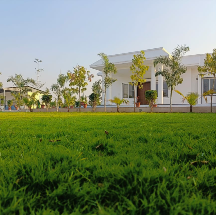 Garden, kalwar road  600 Sq.Yd. Plot In Kalwar Road Jaipur 8136072