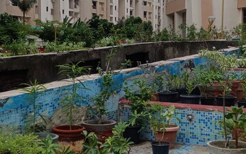 2 BHK Apartment For Rent in Divyansh Apartment, Indrapuram