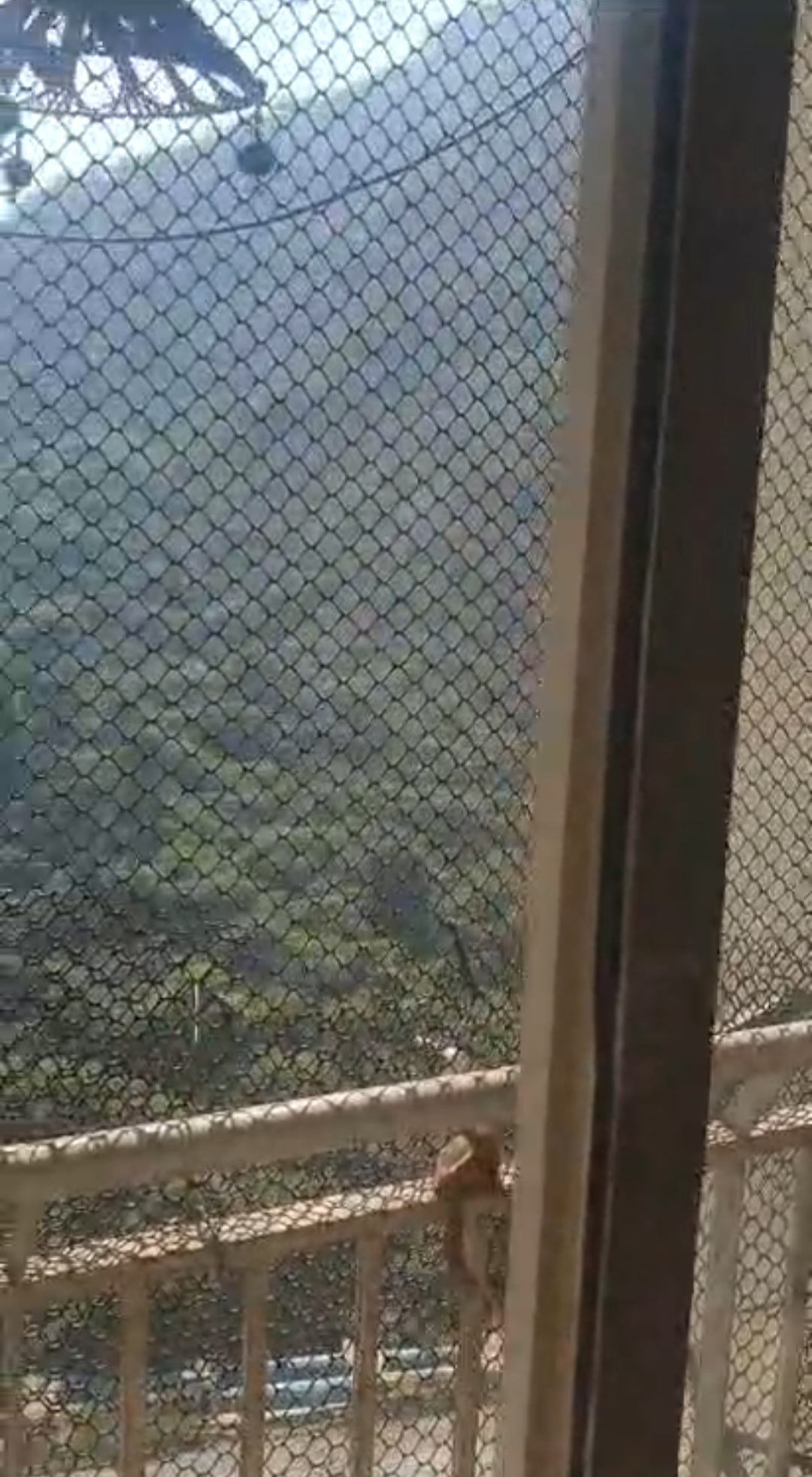 1 BHK Apartment For Sale in Bharat Ecovistas