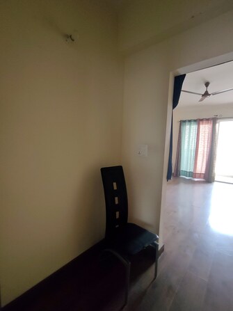 3 BHK Apartment For Rent in ATS Golf Meadows Lifestyle Central Derabassi Chandigarh  8136209