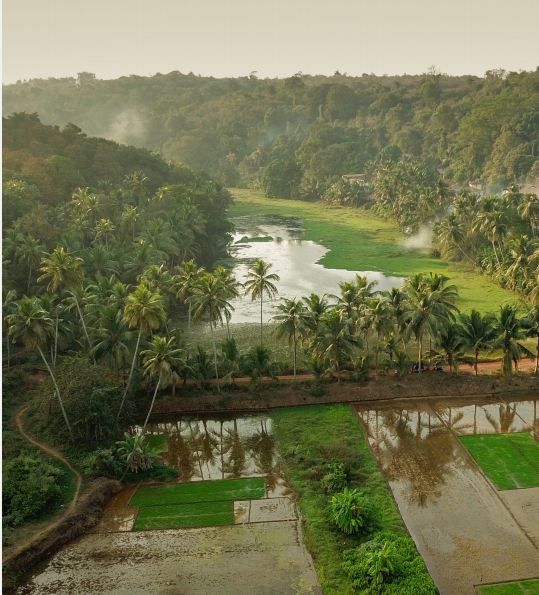 4 BHK + Servant Room 374 Sq.Mt. Villa in MVR Casa Aurea