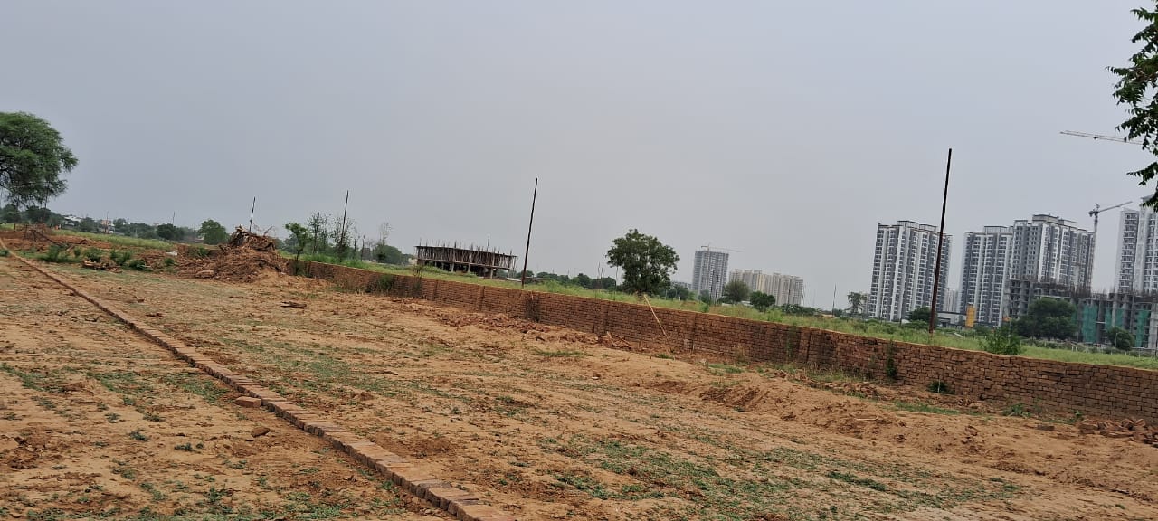 Plot For Sale in Sikka Kaamna Greens