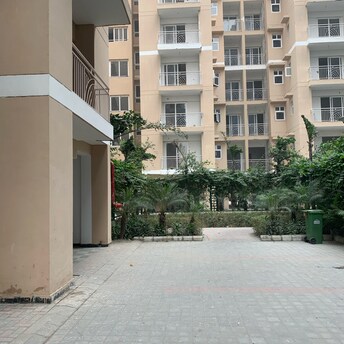 2 BHK Apartment For Rent in Shubh Homes Urban Royale Shahpur Bamheta Ghaziabad  8136571