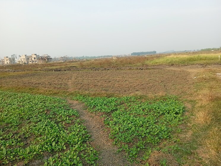 undefined, new town action area iii Commercial Land 3600 Sq.Ft. In New Town Action AreA Iii Kolkata 8136624
