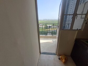 2 BHK Apartment For Rent in Signature Global Solera 2 Sector 107 Gurgaon  8136754