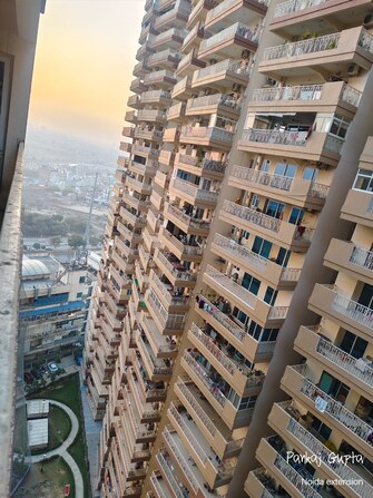 2 BHK Apartment For Rent in Gaur City 7th Avenue Sector 4, Greater Noida Greater Noida  8136979