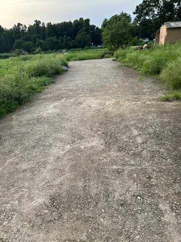 Plot Area in  Plot at Sahaspur – for Sale