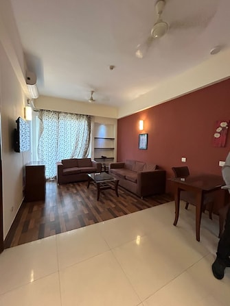 1 BHK Builder Floor For Rent in Sushant Lok 1 Sector 43 Gurgaon  8136991