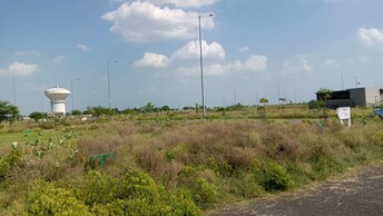 Plot For Resale in NCR Olympia Sector 79 Noida  8137102