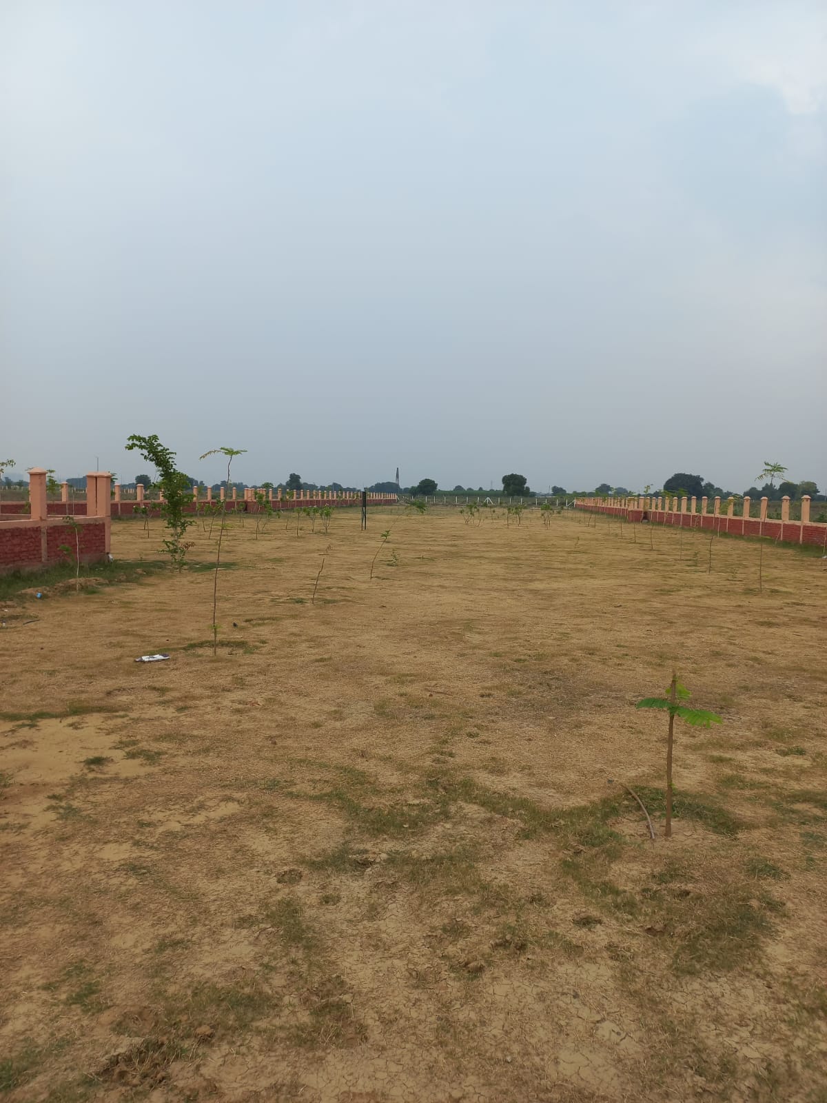 Plot For Sale in NCR Olympia