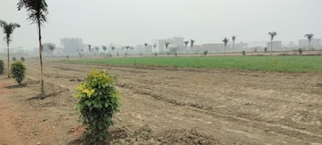 Plot Area in  Plot at Jewar – for Sale