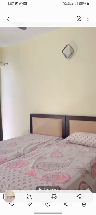 2 BHK Apartment For Rent in Windlass River Valley Harrawala Dehradun  8137711