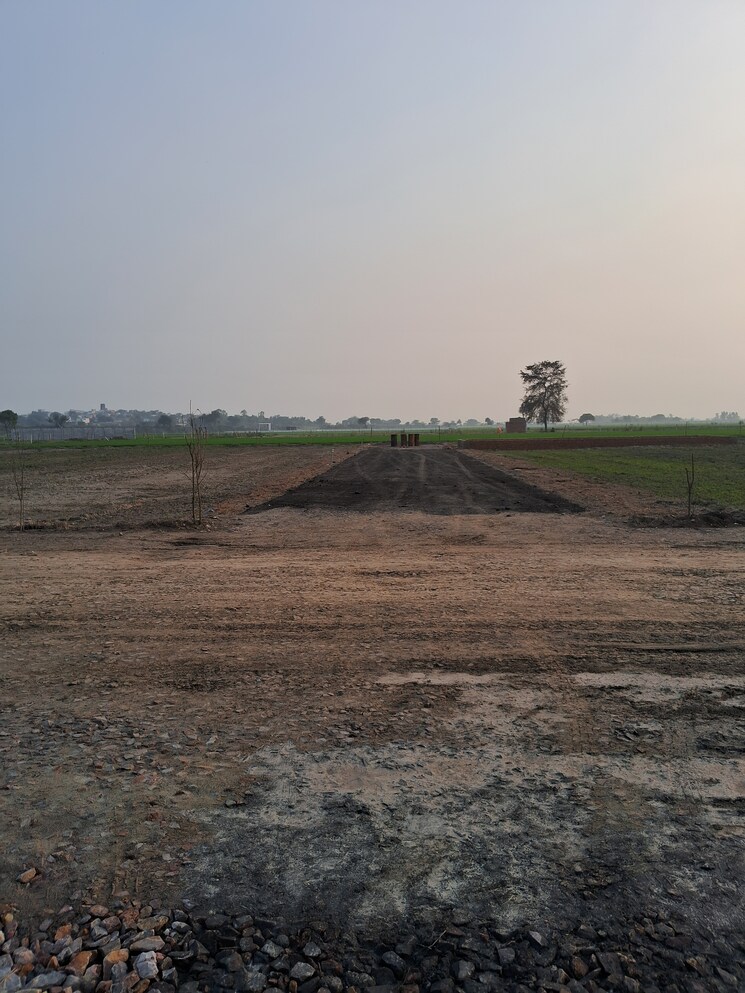 undefined, sector 29 yamuna expressway  130 Sq.Yd. Plot In Sector 29 Yamuna Expressway Greater Noida 8137789