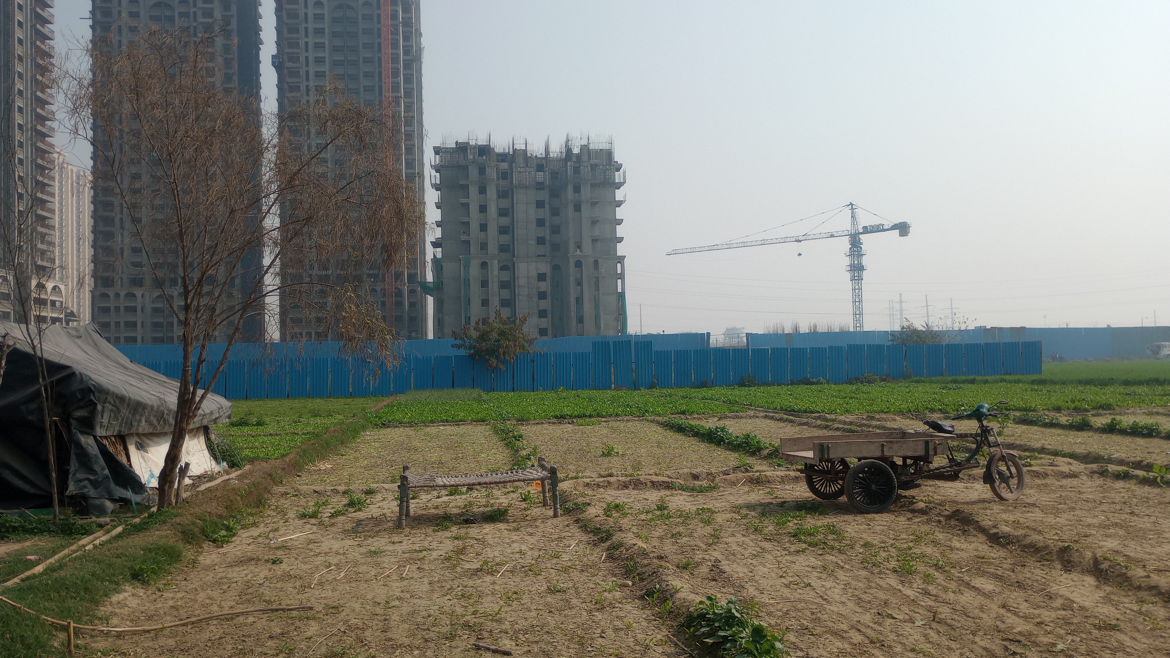 Plot For Sale in Awas Vikas Society, Siddh