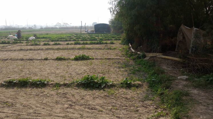 undefined, siddharth vihar  100 Sq.Yd. Plot In Siddharth Vihar Ghaziabad 8137964