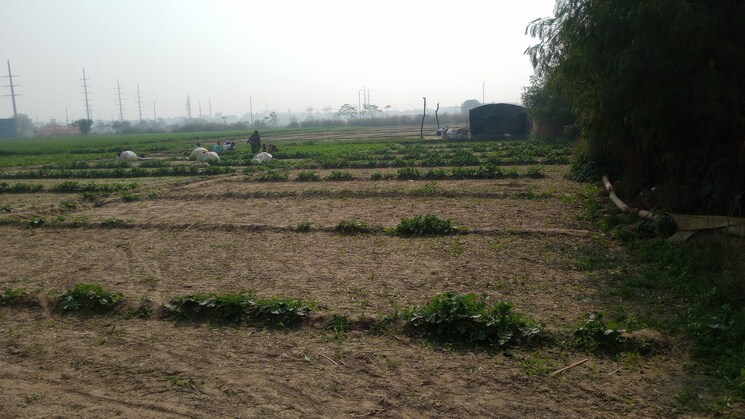 undefined, siddharth vihar  100 Sq.Yd. Plot In Siddharth Vihar Ghaziabad 8137964