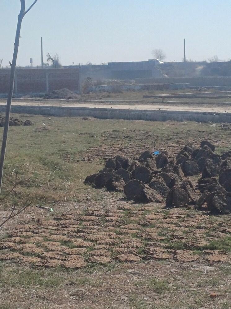 Exterior View, jewar  129 Sq.Yd. Plot In Jewar Greater Noida 8137989