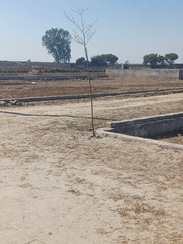  Plot For Sale in Jewar