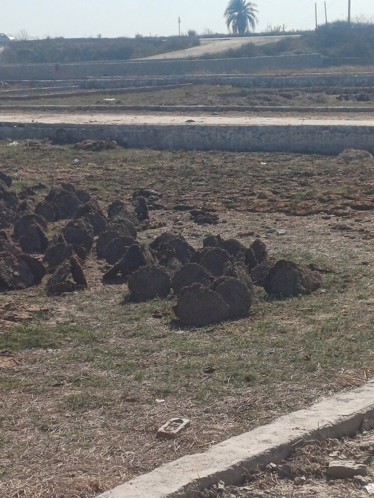 Exterior View, jewar  130 Sq.Yd. Plot In Jewar Greater Noida 8138126