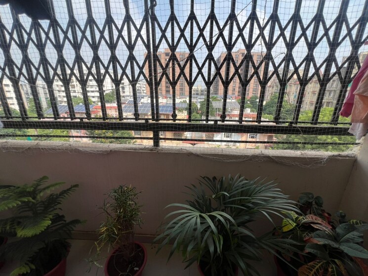 Swimming Pool, ahmedabad cantonment 3 Bedroom 1485 Sq.Ft. Apartment In Ahmedabad Cantonment Ahmedabad 8138075