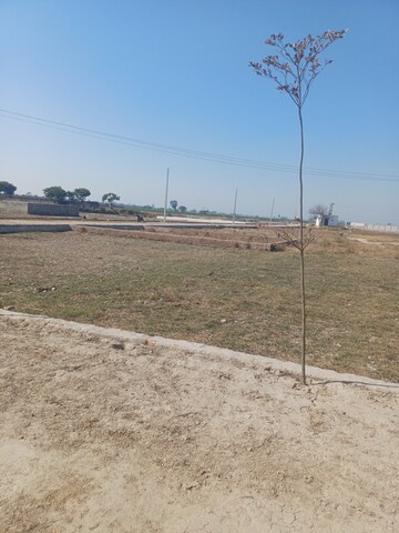  Plot – Exterior View View at Jewar - for Sale