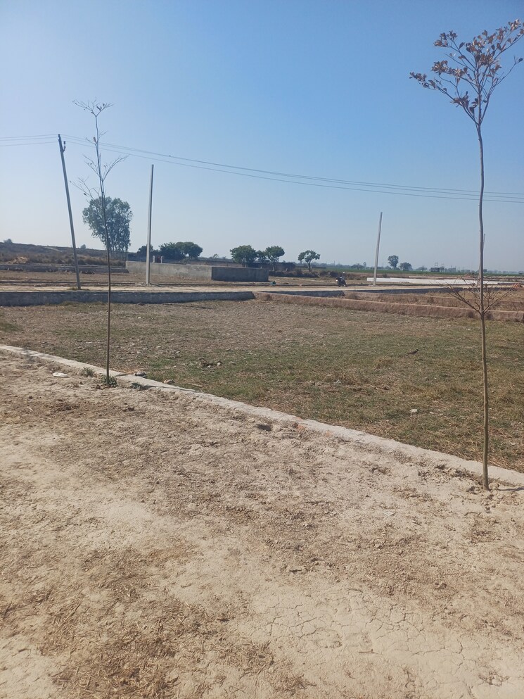 Exterior View, jewar  133 Sq.Yd. Plot In Jewar Greater Noida 8138199