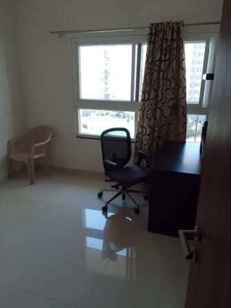 1 BHK Apartment For Rent in Amanora Desire Tower Magarpatta Road Pune  8138246