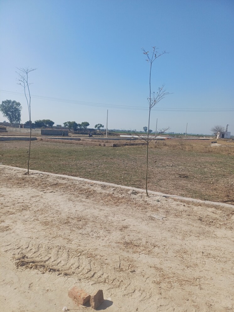 Exterior View, jewar  135 Sq.Yd. Plot In Jewar Greater Noida 8138267