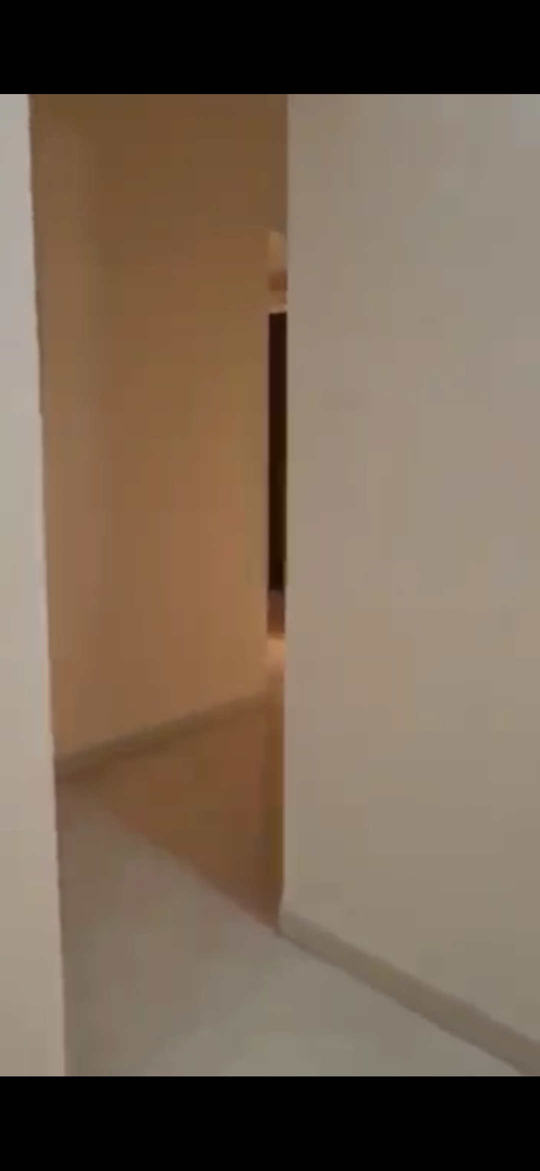 3 BHK 1350 Sq.Ft. Apartment in Shree Sai Sapphire I