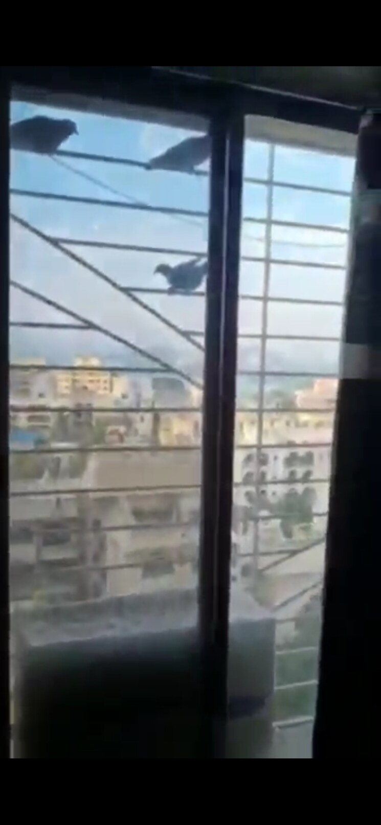 undefined, shree-sai-sapphire-i 3 Bedroom 1350 Sq.Ft. Apartment In Powai Mumbai 8138338