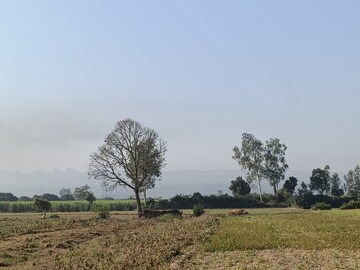 Plot Area in  Plot at Tyagi Road – for Sale