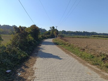 Plot Area in  Plot at Tyagi Road – for Sale