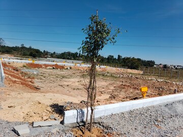  Plot For Sale in Koppa Gate