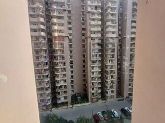 3 BHK Apartment For Resale in Amrapali Leisure Park Amrapali Leisure Valley Greater Noida  8138730