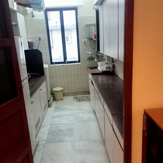 1 BHK Apartment For Rent in Pradeep Apartment Worli Worli Mumbai  8138835