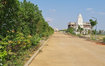 Plot For Sale in Amleshwar