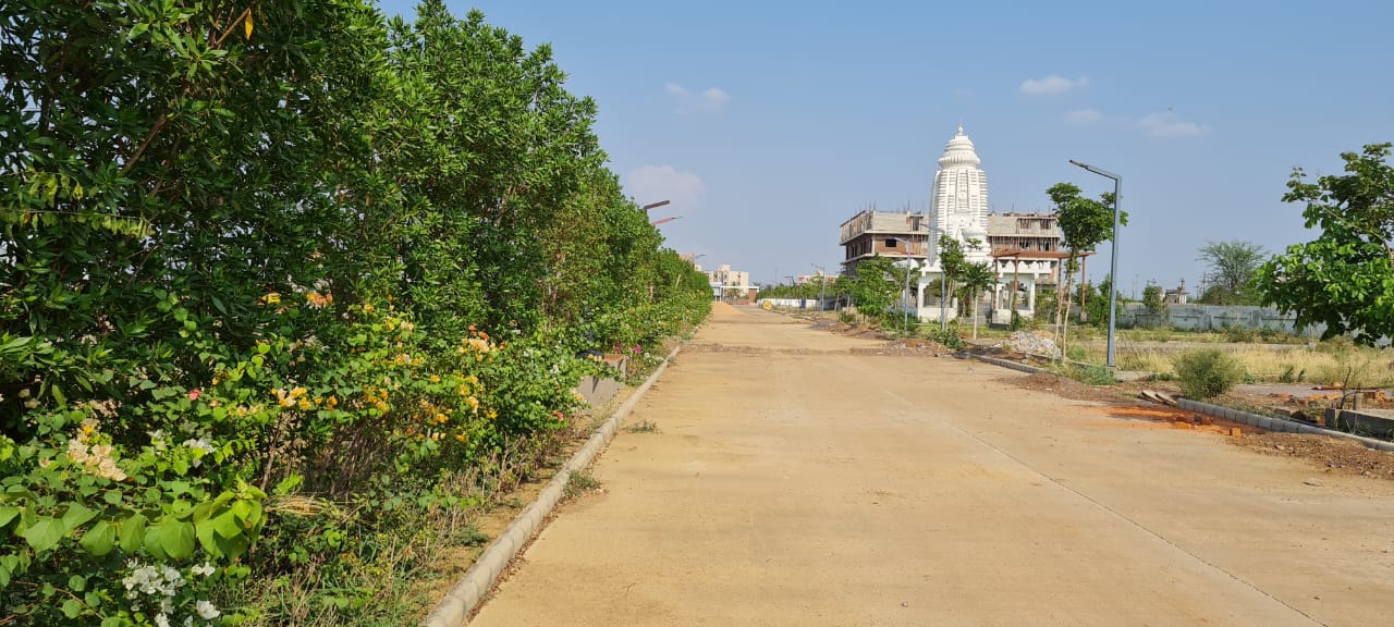 Plot For Sale in Royal Palm