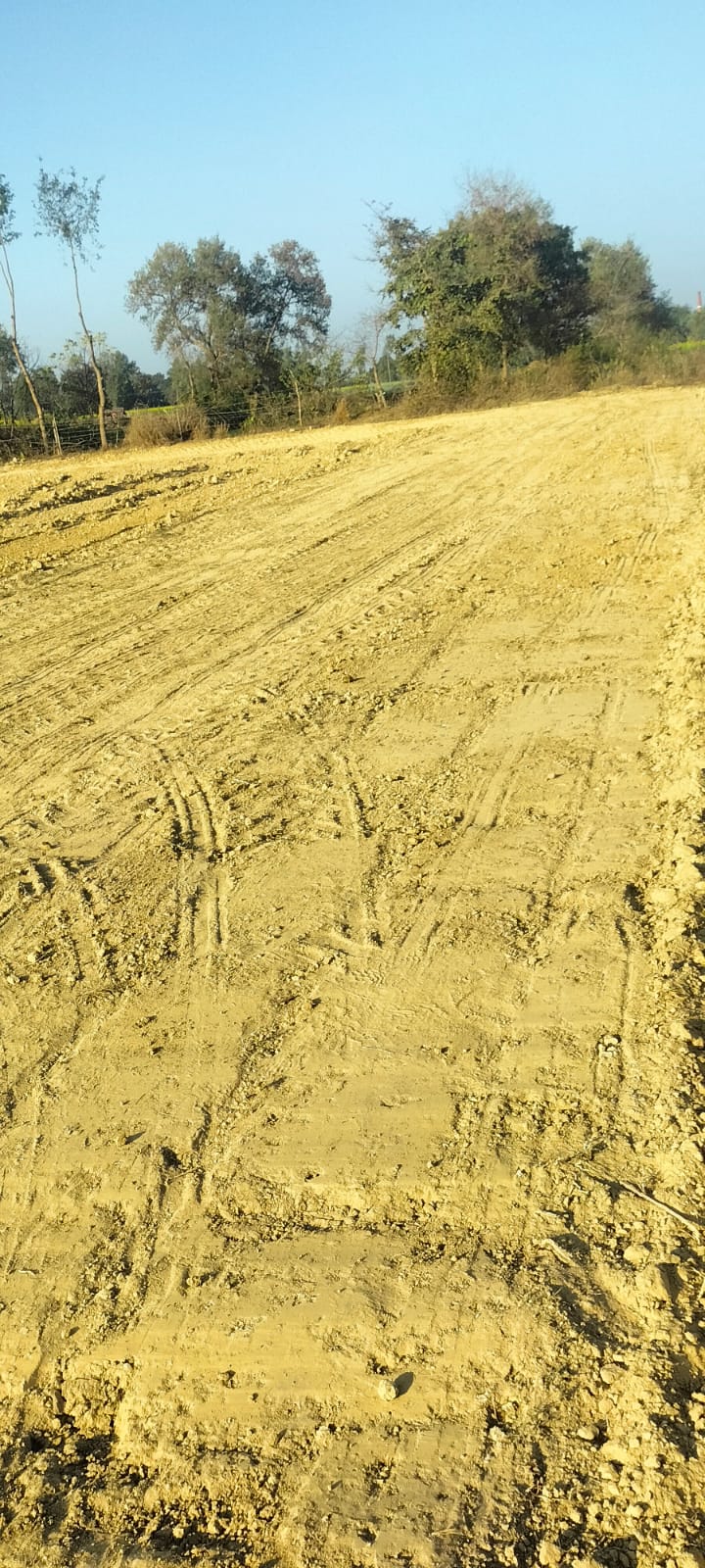 Plot For Sale in Shyam Vihar