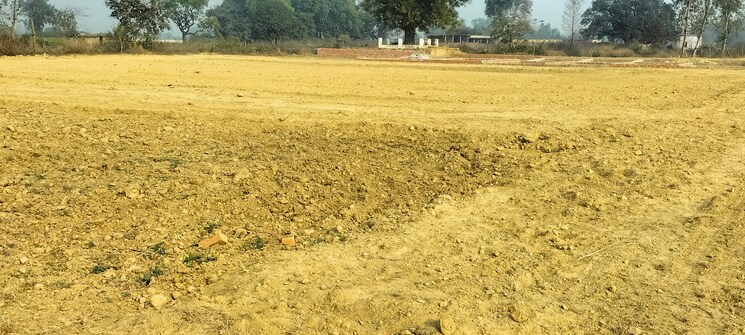 undefined, kisan path  700 Sq.Ft. Plot In Kisan Path Lucknow 8139184