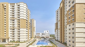 1 BHK Apartment For Rent in Prestige Royale Gardens Gantiganahalli Bangalore  8139054