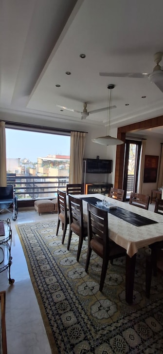 3 BHK Apartment For Resale in Greater Kailash ii Delhi  8139254