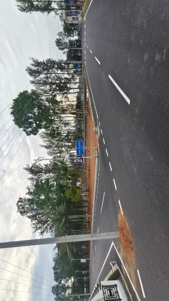 Plot For Resale in Sarjapur Road Bangalore  8139121