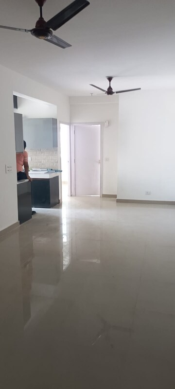 2 BHK Apartment For Rent in Signature Global Orchard Avenue, Sector 93