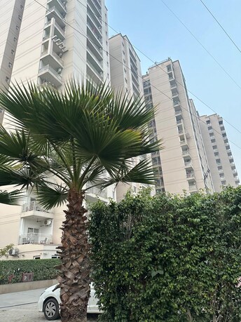 4 BHK Apartment For Resale in Ramprastha Platinum Height Ramprastha Greens Ghaziabad  8139422