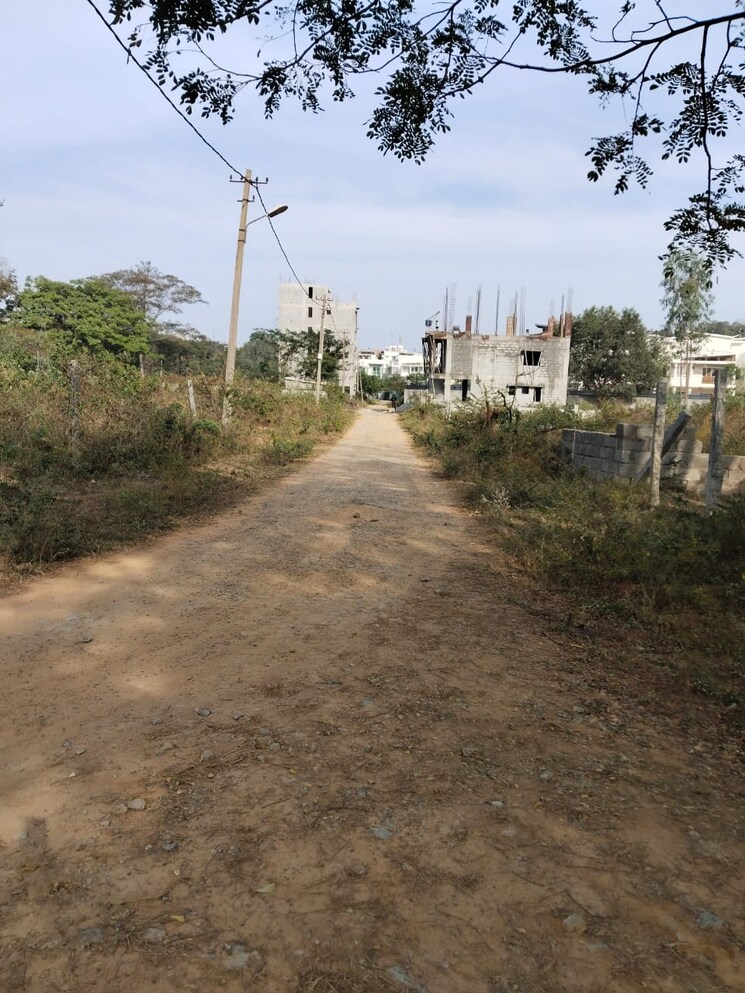 undefined, doddakammanahalli  2800 Sq.Ft. Plot In Doddakammanahalli Bangalore 8139490