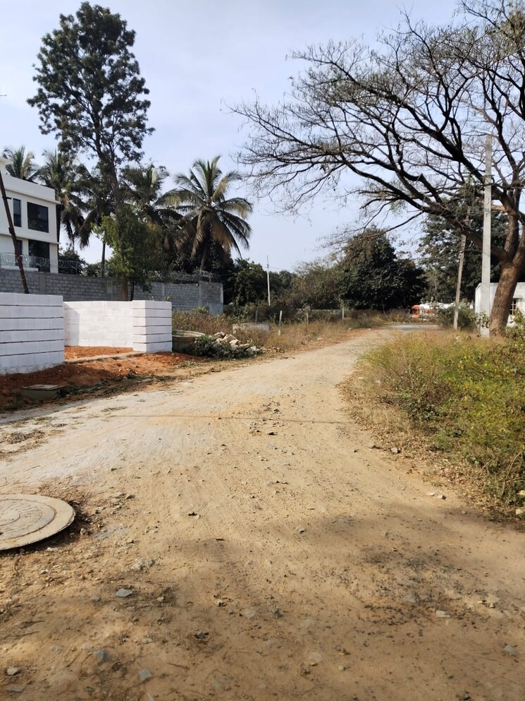 undefined, doddakammanahalli  2800 Sq.Ft. Plot In Doddakammanahalli Bangalore 8139490