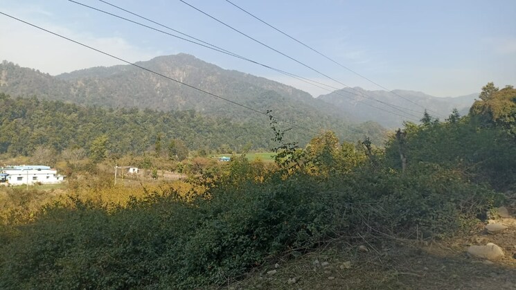 undefined, raipur  251 Sq.Yd. Plot In Raipur Dehradun 8139625